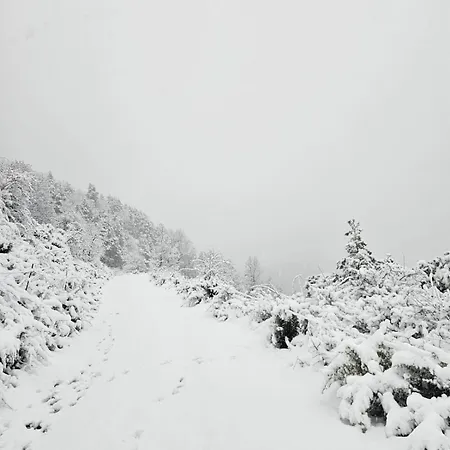 아파트 Pedraforca *